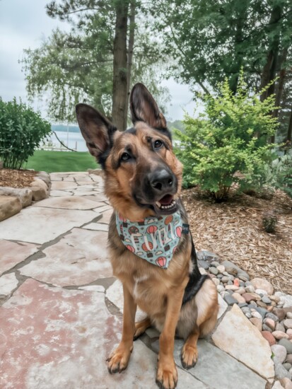 Finn