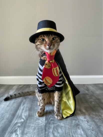 Ham