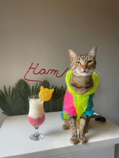 Ham