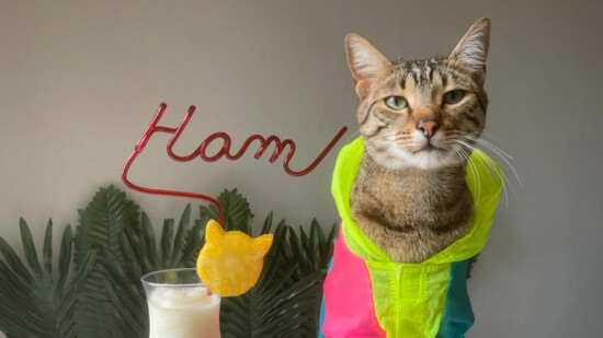 Ham