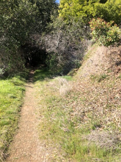 That trail? Take it. Anyone else like getting lost?