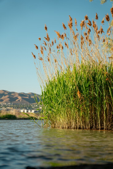 Jordan River Trail