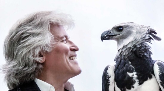 Robert Comstock with Harpy Eagle    Photo Credit: Josiah Ness