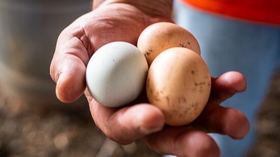 Featured image for Meet the Farmers