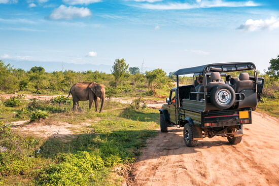 East African Safari Lodges