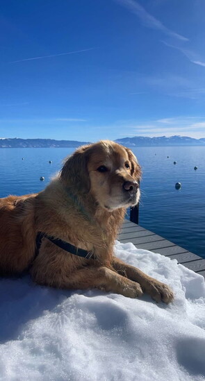 Kenai