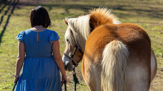 Photo by Shawn Poynter