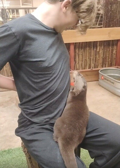 Lisa Bloss' son, Liam recently got to play with river otters