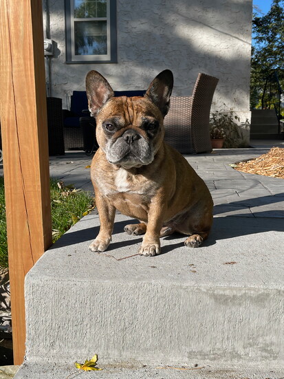 Peanut