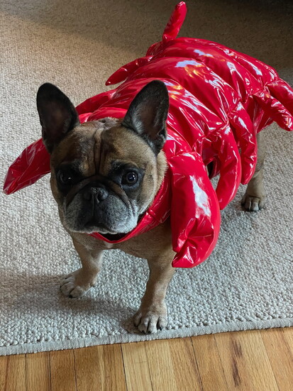 Peanut