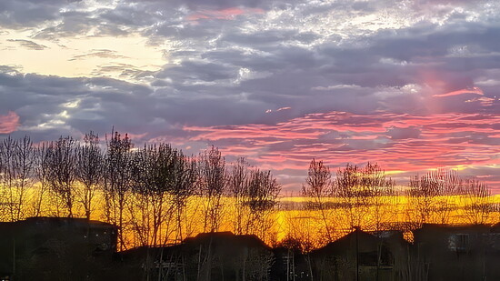 Photo: loeblifephotography