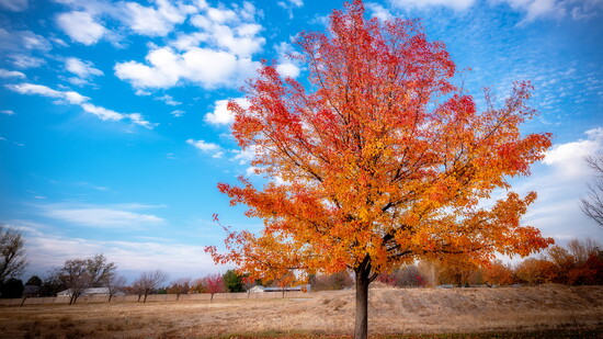 Featured image for Meridian + Valley Events