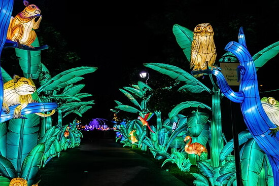 Let It Glow! A Holiday Lantern Spectacular