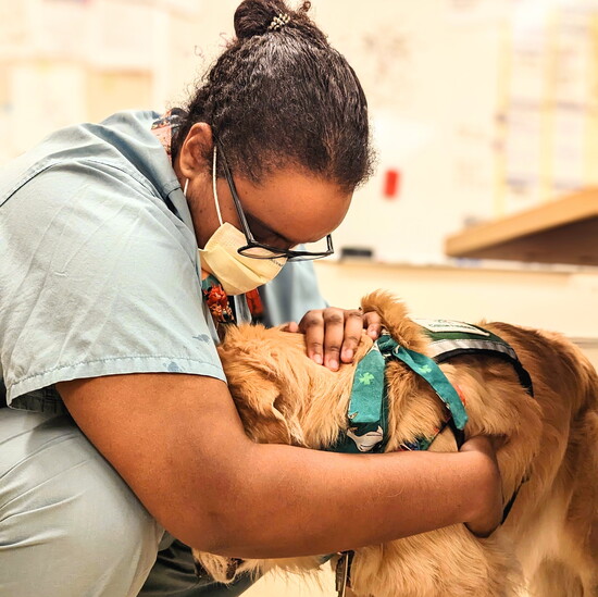 Fawn at work in the hospital. Photo courtesy of Michigan Medicine.