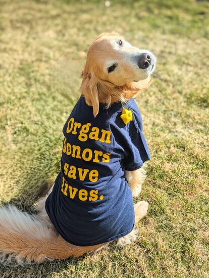 Fawn, one of the Paws4Patients therapy dogs. Photo courtesy of Michigan Medicine.