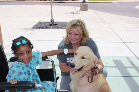 MidSouthTherapyDogs.org