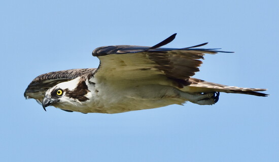 Photography by:  Gilles Carter