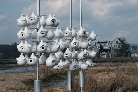 Photography by:  Cliff Schorr