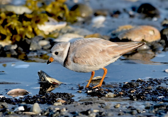 Photography by:  Gilles Carter