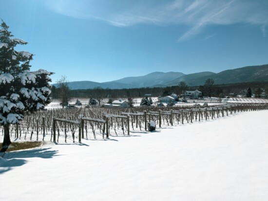 Veritas Winery in the winter. Photo Credit: Sera Petras