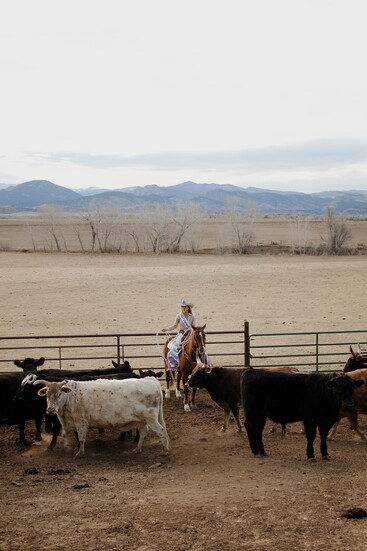 Lindsey Fancher-Rule hearding cattle