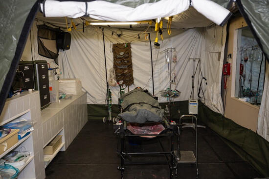 Military field triage simulation