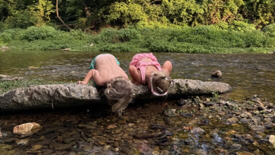 Picnic & Play