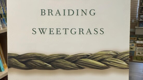 Braiding Sweetgrass