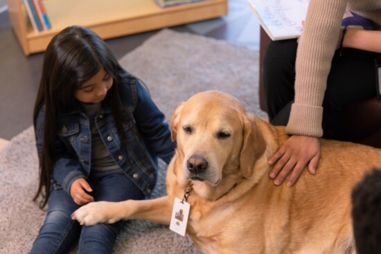 Mickler the dog at CPP