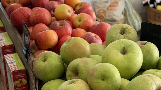 Seasonal apples