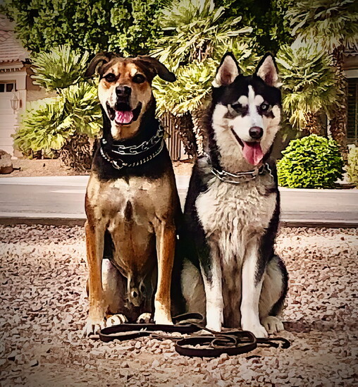 Boomer & Freya, Deirdre Andrews