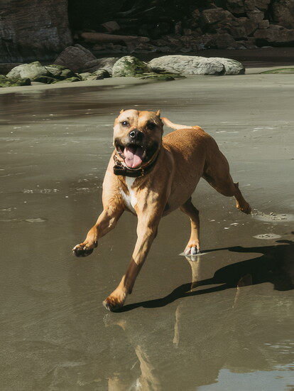 Daisy, Kami Hutchison