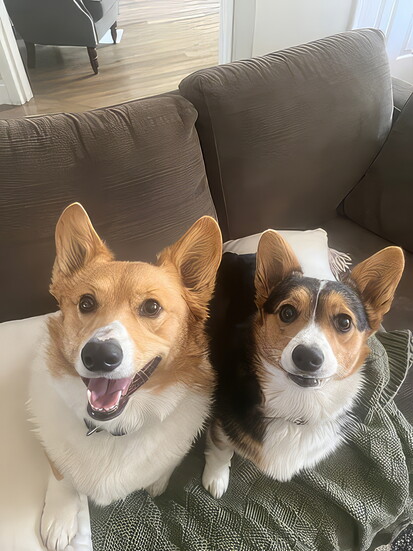 Finn & Daisy, Mechele Duke