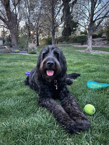 Lucy, Gene Zufelt