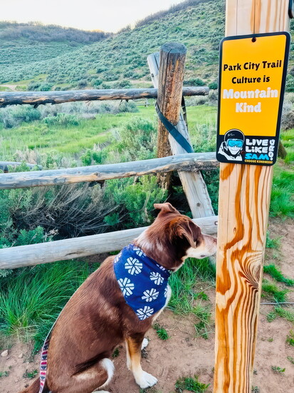 Razzberry, Elizabeth Bolton (visit parkcity)