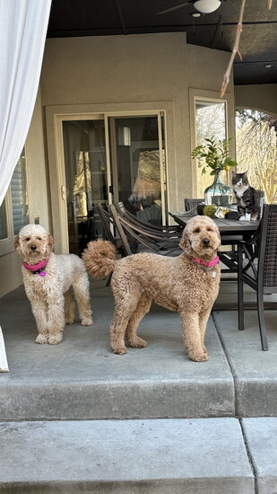 Bailey & Myla, Kathy Humphries