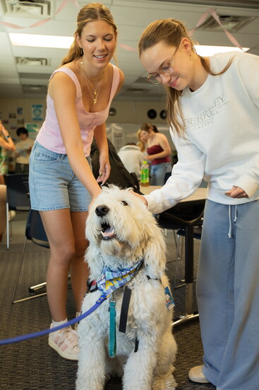 Therapy dog at Riverstone Int. School, Jordan Moffis