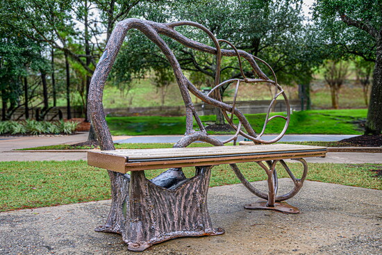 Windswept Oak Bench