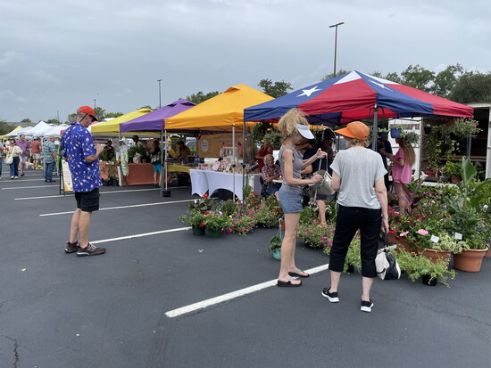 The Woodlands Farmers Market’s fruit and decorative trees.
