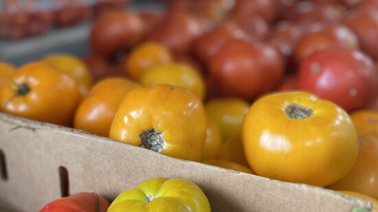 Ripe tomatoes of multiple varieties at Theiss Market.