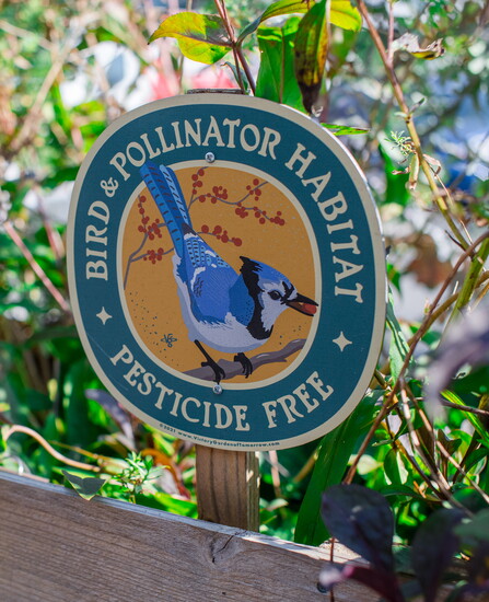 Bottom: The bakery’s native plant gardens nurture both bird diversity and monarch butterfly populations.