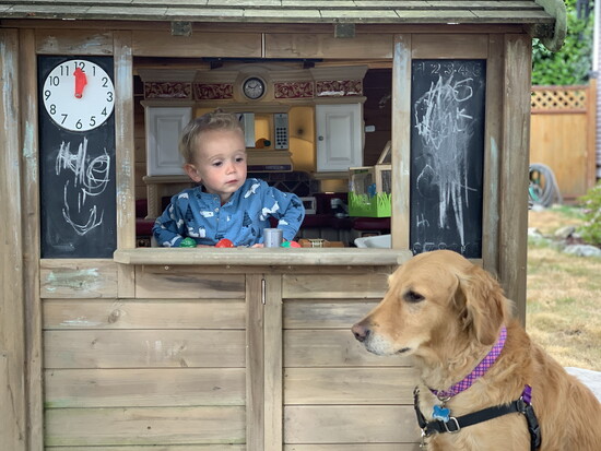 Pets are family, integrated into our daily lives