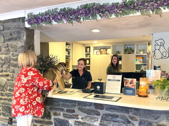 Sofie saying Hi to Dr. Marcie, while Lauren Hetland while Hospital Manager Lauren Hetland on the right