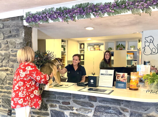Sofie saying Hi to Dr. Marcie, while Lauren Hetland while Hospital Manager Lauren Hetland on the right