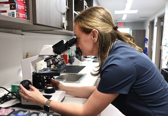 Dr. DiPaulo checking a slide in Media Vet's microscope