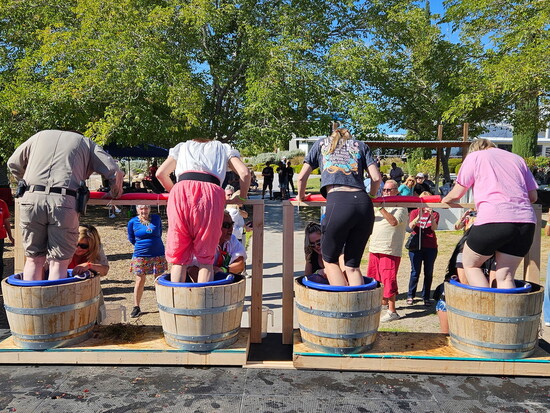 Photo credit: Charleston Peak Winery