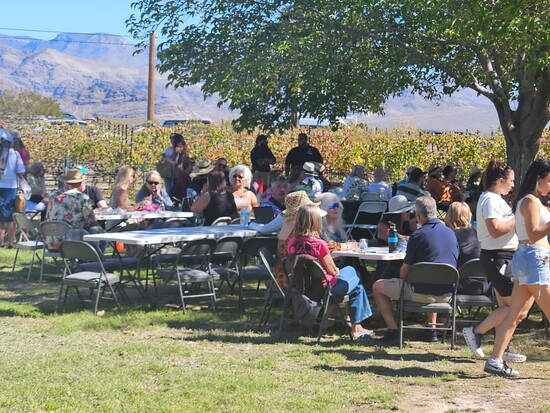 Photo credit: Charleston Peak Winery