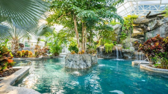 The Biosphere Pool at Crystal Springs