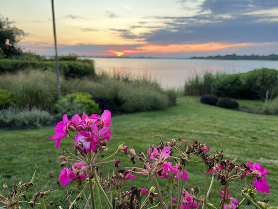 A portion of floral landscaping and a lush front lawn by Mother Nature's Landscaping. 