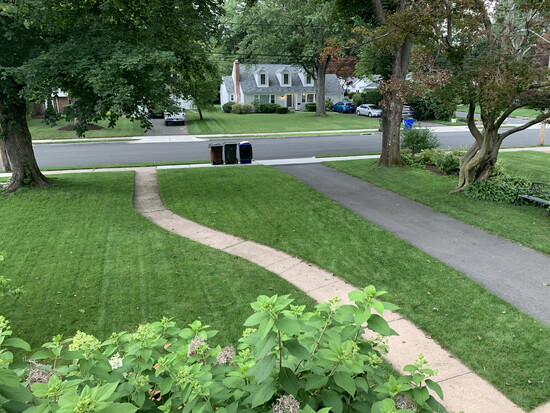 A lush front lawn by Mother Nature's Landscaping Design.